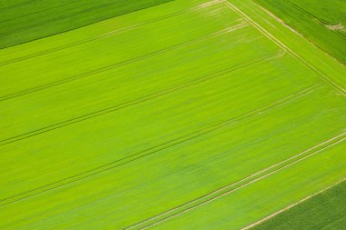 Dinamik hava görüntüsü parlak yeşil tarım alanlarını keskin çapraz çizgiler ve ince traktör izleriyle gösteriyor. Normandiya kırsalında çarpıcı bir geometrik desen oluşturuyor..