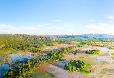Sel basmış pirinç tarlalarının hava perspektifi kırsal alanda bir yama oluştururken, köy evleri kümeleri ve dağınık ağaçlar uzak yeşil tepelerin zeminine kuruluyor. Sahne parlak güneş ışığıyla yıkandı.