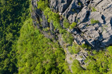 Dik kireçtaşı yüzeyi yoğun yeşil ormanın yemyeşil bir gölgesinin üzerinde keskin bir şekilde yükselir, güneş ışığı engebeli taş dokularını ve dağınık bitki örtüsünü aydınlatır. Sahne, doğal desenleri ve tropik dağlara özgü dramatik zıtlıkları yakalar.