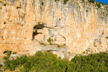 Çarpıcı bir kireçtaşı kayalığı, Gorges de Ardeche 'deki yoğun yeşil ormanlık üzerinde yükselir. Altın güneş ışığıyla aydınlatılan çarpıcı dikey çizgiler ve doğal oyuklar içerir..