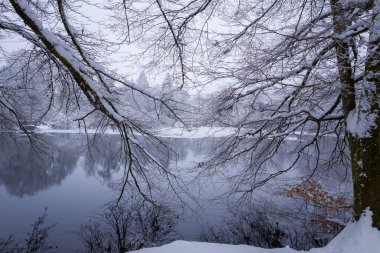Yapraksız ağaç dalları, Lac du Haut Folin 'in durgun ve yansıtıcı yüzeyinde kar kemeriyle tozlandı. Sakin kış manzarası yumuşak ışık, ince renkler ve sakin, dingin bir ruh hali içerir..