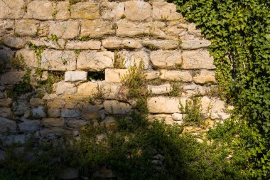 Sıcak öğleden sonra ışığı, kısmen yoğun yeşil sarmaşık ve dağınık bitkilerle kaplı taştan bir duvarın üzerine düşüyor. Görüntü kaba dokuları, doğal desenleri ve açık şehir ortamında duvarcılık ve yeşillik arasındaki zıtlığı vurgular.