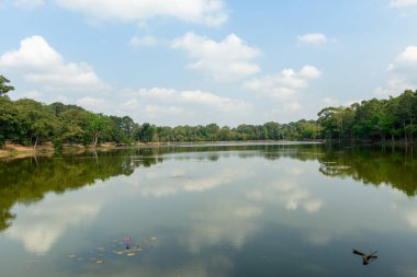 Durgun su, bulutları ve Kamboçya 'nın Siem Reap kentindeki Angkor tapınağı kompleksinin yakınındaki sakin bir göl etrafındaki tropikal ağaçları yansıtır. Huzurlu sahnede yemyeşil orman, tek bir pembe su zambağı ve mavi gökyüzünün altında yumuşak gün ışığı yer alıyor..