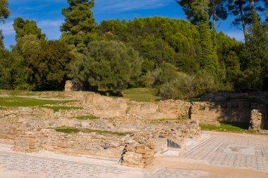 Yunanistan 'ın Olympia kentindeki çimenli arazi ve yemyeşil ormanın ortasında yıpranmış taş duvarlar ve Kronion Hamamları' nın korunmuş mozaik zeminleri duruyor. Güneş ışığı bu açık hava arkeoloji sahasında tarihi dokuları ve doğal yeşillikleri vurguluyor.