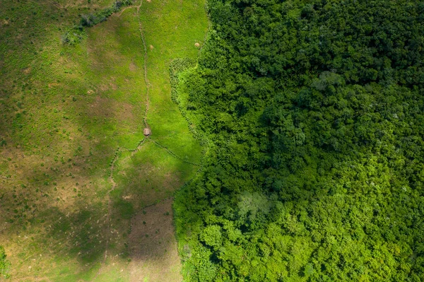 Hava manzarası, ıssız bir ahşap kulübesi ile kuzey Laos kırsalındaki sık ve canlı orman arasındaki keskin sınırı gösteriyor. Sahne, doğal desenleri, güçlü güneş ışığını ve dokuların çarpıcı bölünmesini vurguluyor.