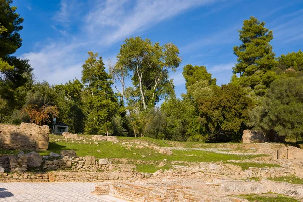 Yunanistan 'ın Olympia kentindeki Kronion Hamamları' nın yıpranmış taş kalıntıları uzun ağaçların ve yemyeşil yeşilliklerin altında duruyor. Güneş ışığı, açık mavi gökyüzünün altındaki tarihi taş ve doğa manzarasını vurgular.