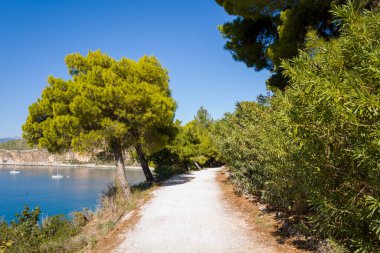 Berrak bir gökyüzü altında yemyeşil çam ağaçları ve yoğun Akdeniz çalılarıyla çevrili, sakin bir mavi koy boyunca uzanan çakıl taşı izi. Sahne taze, canlı bir atmosfer ve doğal bir güzellik yansıtıyor..