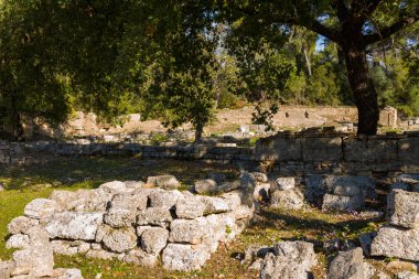 Yunanistan 'ın Olympia kentindeki yapraklı ağaçların altında Prytaneion' un antik taş kalıntıları yatıyor. Sıcak güneş ışığı gölgeliklerden süzülerek yıpranmış duvarları ve dağınık kır çiçeklerini huzur dolu bir arkeolojik ortamda vurguluyor..