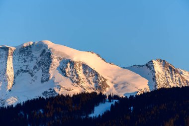 Yumuşak altın ışık, Fransa Alplerinde gölgeli bir çam ormanının üzerindeki engebeli, karla kaplı Kubbeler 'i yıkıyor ve berrak bir gökyüzü altında sakin bir kış manzarası yaratıyor..