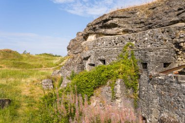 Fort de Douaumont 'un, kısmen yeşil sarmaşıklar ve kır çiçekleriyle kaplı engebeli taş duvarının yakın görüntüsü. Tarihi yapı, Meuse bölgesindeki açık bir yaz gökyüzünün altında çimenli tepelerin arasında yer alıyor..