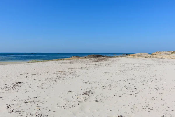 Quiberon 'daki Plage de la Jument boyunca uzanan el değmemiş beyaz kumlar, dağınık yosun, kayalık çıkıntılar ve berrak bir yaz gökyüzü altında sakin mavi deniz..