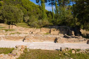 Yunanistan 'ın Olympia kentindeki çimenli arazi ve yemyeşil ormanın ortasında yıpranmış taş duvarlar ve Kronion Hamamları' nın korunmuş mozaik zeminleri duruyor. Güneş ışığı bu açık hava arkeoloji sahasında tarihi dokuları ve doğal yeşillikleri vurguluyor.