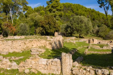 Yunanistan 'ın Olympia kentindeki çimenli arazi ve zeytin ağaçlarının arasında Prytaneion' un kalıntıları duruyor. Güneş ışığı, yemyeşil orman ve yumuşak tepelerle çevrili yıpranmış temelleri vurguluyor..