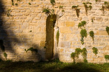 Sıcak öğleden sonra ışığı, dar kemerli ve dağınık yeşil sarmaşıklı eski sarı taştan bir duvara vurgu yapıyor. Kompozisyon kaba dokular, doğal gölgeler ve tarihi bir şehir ortamında duvarcılık ve yeşillik arasındaki kontrast üzerinde yoğunlaşır..