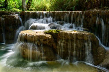 Yumuşak güneş ışığı, kuzey Laos 'taki Kuang Si Şelalesi' ndeki kireçtaşı şelalelerinin üzerinden akan berrak suyu vurguluyor. Yosun ve yaprak, sakin şelalenin etrafını sarar. Tropikal ormanda huzur verici bir manzara yaratır..