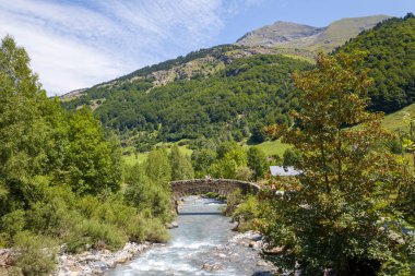 Taştan bir köprü, yemyeşil orman ve Gavarnie vadisinde yuvarlanan tepelerle çevrili berrak bir dağ nehri boyunca uzanır. Güneş ışığı, mavi gökyüzünün altındaki canlı yaprakları ve manzarayı vurgular..
