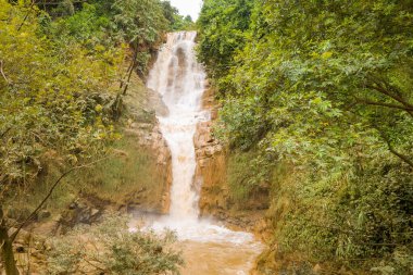 Yoğun yeşil yapraklar ve Mai Chau ile Moc Chau, Vietnam arasındaki canlı bitkilerle çevrili kayalık uçurumların üzerinde güçlü bir şelale şelalesi. Sahnede dinamik su akışı, toprak dokular ve sakin bir doğal atmosfer yer alıyor..