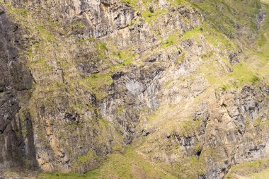 Pireneler 'deki engebeli bir dağ uçurumunun yakın görüntüsünde, güneş ışığıyla aydınlatılmış kaya dokuları ve dağınık yeşil bitki örtüleri yer alıyor. Dik yüzey, dağ manzarasının dramatik jeolojisini ve doğal örneklerini vurgular..