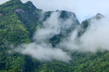 Kuzey Laos 'taki dik kireçtaşı dağlarındaki yoğun yeşil ormanda yumuşak bir sis örüyor. Sahne, parlak ve bulutlu bir gökyüzü altında yemyeşil bitkilerin ve dokulu tepelerin altını çiziyor..