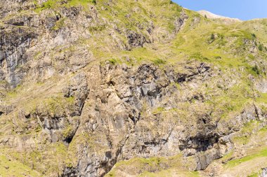 Pireneler 'deki engebeli bir dağ uçurumunun yakın görüntüsünde, açık kaya katmanları ve parlak güneş ışığı altında dağınık yeşil bitki örtüsü yer alıyor. Doğal dokular ve keskin hatlar dramatik bir alp sahnesi yaratır..