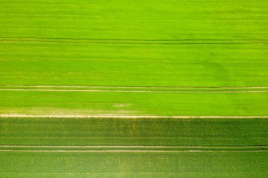 İnsansız hava aracı görüntüsü, Normandiya kırsalında yaz güneşinin altında çarpıcı bir doğrusal örüntü oluşturan canlı yeşil tarım arazilerinin paralel bantlarını gösteriyor..