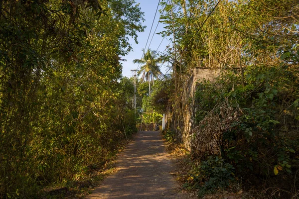 Yoğun yeşil bitki örtüsü ile Trivandrum, Hindistan 'da yıpranmış bir duvar arasında sakin bir kırsal yol esiyor. Sıcak güneş ışığı ağaçların arasından süzülür gölgeler bırakır ve barışçıl, doğal bir atmosfer yaratır..
