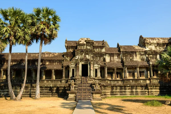 Angkor Vat 'taki onur terası uzun palmiye ağaçları ve berrak mavi gökyüzünün altında aşınmış kumtaşı mimarisi tarafından vurgulanır. Ön plandaki kuru çimenler ve güçlü güneş ışığı, Khmer 'in bu tarihi dönüm noktasındaki anıtsallığı ve simetriyi vurgular.