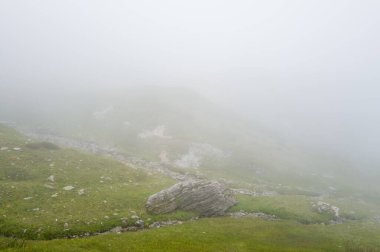 Dağılmış kayalarla dolu otlak bir dağ çayırı ve büyük bir kaya tabakası kalın, beyaz bir sis tabakasına dönüşerek sessiz renklerle ve hafif ışıkla yumuşak, gizemli bir manzara yaratır..