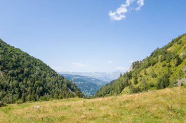 Orman yamaçları arasında yuva yapmış geniş çimenli düzlükler yaz dağlarında parlak, berrak bir gökyüzünün altındaki uzak mavi tepelere doğru açılıyor..