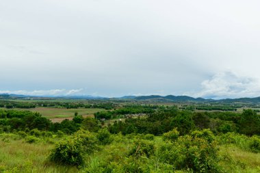 Laos 'taki Plaine des Jarres' in geniş panoramasında açık otlaklar, dağınık ağaçlar ve yumuşak, bulutlu bir gökyüzünün altındaki uzak tepeler yer alıyor. Sahne doğal dokuları, yemyeşil yeşilliği ve bu tarihi atmosferi ön plana çıkarıyor.