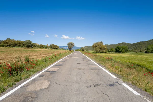 Yıpranmış kırsal bir yol, İspanya 'nın Ardisa kenti yakınlarındaki canlı mavi gökyüzünün altında kırmızı kır çiçekleriyle benekli ve yeşil tepelerle çevrili açık araziler boyunca uzanır. Parlak güneş ışığı kıtır kıtır gölgeler bırakır, manzaranın dokusunu aydınlatır..