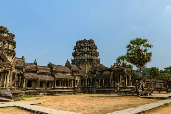 Angkor Wat 'ın ana kumtaşı pavyonu, palmiye ağaçları çerçeveli ve kuru otlarla çevrili bulutsuz mavi bir gökyüzünün altında duruyor. Sahne, bu sembolik Kamboçya tapınak kompleksinin karmaşık Khmer mimarisini ve anıtsal simetrisini vurguluyor..