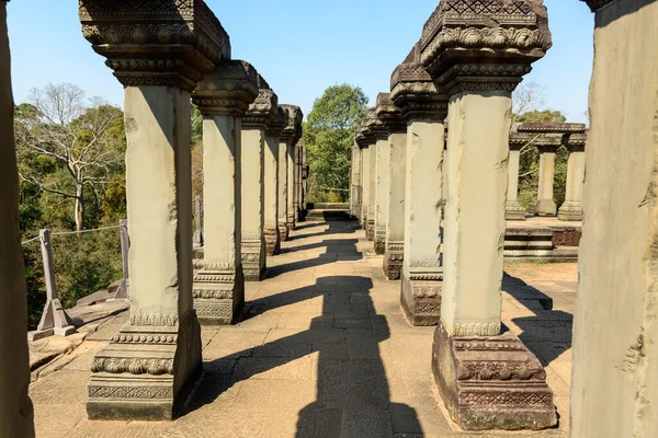 Karmaşık bir şekilde oyulmuş kumtaşı sütunları Angkor, Kamboçya 'daki Baphuon tapınağında yükseltilmiş bir teras boyunca uzun gölgeler bırakır. Parlak güneş ışığı geometrik çizgileri ve dokulu yüzeyleri vurgular, tropikal yeşillik kadim çağların ötesinde görünür