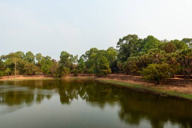 Kamboçya 'da Bakong yakınlarında taş setleri ve gür palmiye ağaçları ile dolu sakin bir hendek. Durgun su yeşilliği ve topraksı kıyıları yansıtır. Yumuşak gün ışığı altında sakin bir tropikal manzara yaratır..