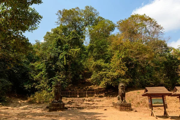 Antik taş aslan heykelleri, Kamboçya 'nın Siem Reap kenti yakınlarındaki Phnom Bakheng' de sık bir ormana çıkan yıpranmış bir merdivenin girişini kuşatır. Sahne gün ışığının altında, kuru toprak, yapraklı ağaçlar ve kırsal ahşap levhalarla gösteriliyor.
