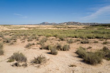 İspanya 'nın Bardenas Reales şehrinde açık mavi bir gökyüzünün altında kurumuş ve çatlamış çimen parçaları yetişir. Uzak engebeli tepeler geniş yarı çöl manzarasını çerçeveliyor, direnç ve izolasyonu çağrıştırıyor..