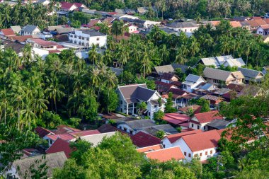 Kümelenmiş çatılar ve beyaz koloni evleri Luang Prabang, Laos 'ta yüksek palmiye ağaçları ve yoğun yeşil yapraklarla çevrilidir. Sahne, Güneydoğu Asya şehrinin canlı tropikal mimarisini ve gür bitki örtüsünü yansıtıyor..