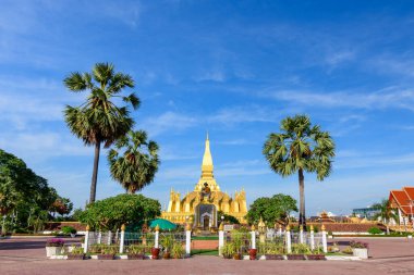 Parlak sabah güneşi, uzun palmiye ağaçları ve manikürlü bahçelerle çerçevelenmiş, Laos, Vientiane 'deki Luang Pha' nın ikonik altın stupasını aydınlatır. Sahne, bu ünlü Budist simgesinin çarpıcı mimarisini ve canlı renklerini vurguluyor.