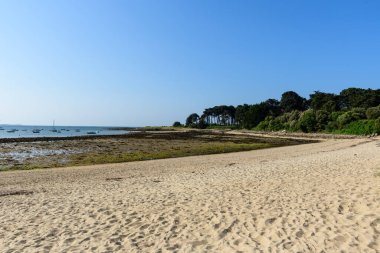 Saint Philibert 'teki Bellec plajı boyunca uzanan altın kum sakin mavi sularda demirlemiş tekneler ve berrak bir gökyüzünün altında yemyeşil çam ağaçlarından oluşan bir zemin..