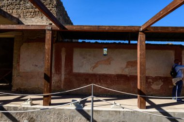 İtalya 'nın Pompeii kentindeki Venüs Hanesi' nde yıpranmış kırmızı bir duvar süsleyen Roma freskleri muhafaza edildi. Güneş ışığı, bu arkeolojik alanın sanatsal ve günlük yaşamını çağrıştıran ahşap bir barınağın altındaki desenli masonluğu vurguluyor..