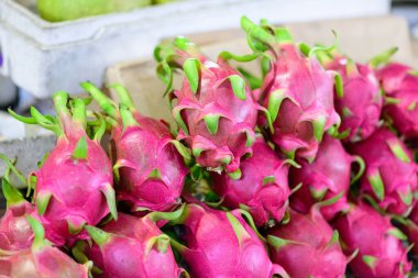 Canlı pembe derili ve yeşil uçlu olgun bir ejderha meyvesi yığını Ben Tre, Mekong Delta, Güney Vietnam 'daki bir pazarda toplu olarak sergilenmektedir. Düzenleme, bu tropikal üretimin eşsiz dokusunu ve kalın renklerini vurgular.