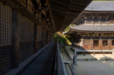 Japonya 'nın Himeji Dağı' ndaki Engyoji 'de bulunan iki tarihi ahşap tapınak salonu karmaşık kafes ve sıcak güneş ışığında derin saçaklar sergiliyor. Kompozisyonda mimari simetri, dokular ve sakin atmosfer vurgulanıyor.