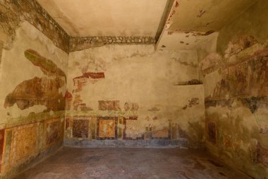 Sessizleştirilmiş kırmızılar, sarılar ve yeşiller içindeki antik Roma freskleri İtalya 'nın Pompeii kentindeki Venüs Sarayı' nda korunmuş bir iç odanın yıpranmış iç duvarlarını süsler. Dokulu yüzeyler ve aşınmış sanat eserleri, arkeolojik sanatın günlük yaşamını ve sanatını çağrıştırıyor.
