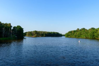 Sakin mavi sular, Dampierre en Burly yakınlarındaki Etang de Corcambon 'da berrak bir gökyüzünün altında sık yeşil ağaçlar arasında uzanır. Hafif dalgalanmalar yaz güneşini yansıtıyor ve huzurlu bir doğal manzara yaratıyor..
