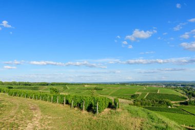 Pouilly sur Loire 'da dağınık bulutlarla birlikte geniş, açık mavi bir gökyüzünün altındaki yuvarlanan tepeler boyunca uzanan devasa yeşil üzüm bağları. Güneşli sahne açıklık, tazelik ve kırsal sükunet yayar..