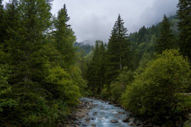 Sarmal bir dağ nehri, sık yeşil ormanların içinden akar alçak asılı sis ve bulutlu gökyüzünün altından yemyeşil ve engebeli arazilerle çevrilidir..