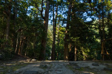 Japonya 'nın Wakayama kentindeki gölgeli bir ormanda, yıpranmış bir taş patika sedir ağaçlarının altından esiyor. Benekli güneş ışığı yoğun yaprakların arasından süzülerek sakin ve doğal bir atmosfer yaratıyor..