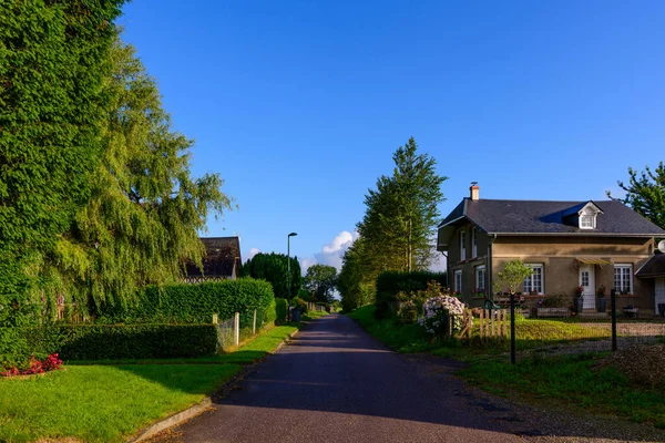 Saint Sylvain 'da berrak mavi gökyüzünün altında yemyeşil çitlerle ve geleneksel evlerle dolu huzurlu bir kırsal sokak. Altın güneş ışığı yeşilliğin ve mimarinin dokusunu ön plana çıkararak, sakin bir yaz ortamı yaratıyor..