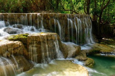 Yumuşak güneş ışığı, kuzey Laos 'taki Kuang Si Şelalesi' ndeki yosun kaplı kireçtaşı teraslarında çağlayan suyu aydınlatıyor. Sahnede berrak turkuaz havuzlar, canlı yeşil yapraklar ve sakin bir tropikal orman ortamında doğal kaya dokuları yer alıyor..