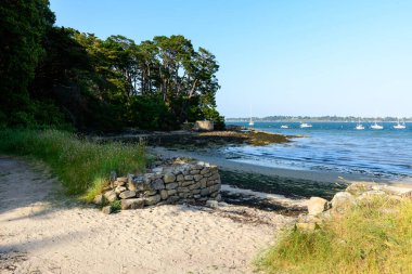 Yıpranmış taş bir duvar, Berder Adası 'ndaki bir çam ormanının yakınındaki sakin mavi sulara ve demirlemiş yelkenlilere bakan yabani otlarla dolu kumlu bir kumsalın yanında duruyor..